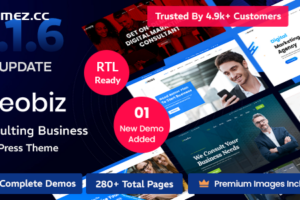 Reobiz v5.1.6 – 咨询业务 WordPress 主题