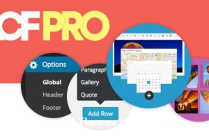 Advanced Custom Fields Pro v6.3.11