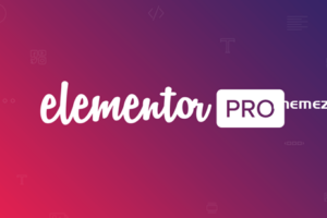 Elementor Pro v3.25.4