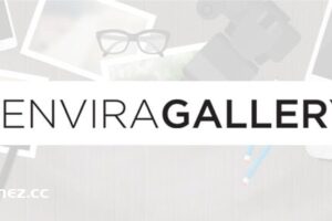 Envira Gallery v1.10.0