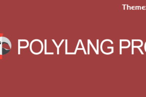 Polylang Pro v3.6.5-多语言插件