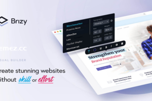 Brizy Pro v2.5.6 – WordPress Builder 插件