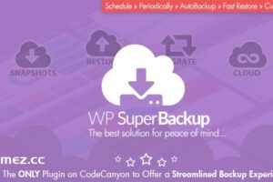 Super Backup & Clone v2.4 -迁移到WordPress