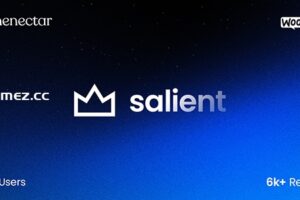 Salient v17.0.4 – 创意多用途 & WooCommerce 主题