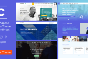 Capital v2.9-多用途商务WordPress主题