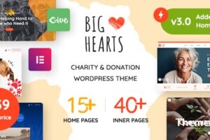 BigHearts v3.1.3-慈善与捐赠WordPress主题