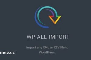 WP All Import Pro v4.9.4