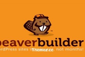 Beaver Builder Pro v2.8.5.2