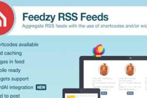 Feedzy v2.4.8-RSS订阅高级WordPress插件