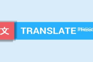 TranslatePress v2.9.2-WordPress翻译插件