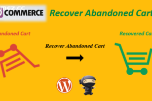 WooCommerce Recover Abandoned Cart v24.2.0