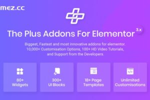 Plus v6.1.0-Elementor的插件