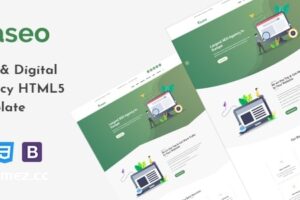 Kaseo-搜索引擎优化和数字代理HTML5模板