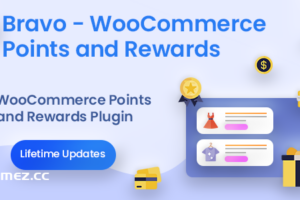 Bravo v2.5.8-WooCommerce积分和奖励-WordPress插件