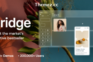 Bridge v30.8.4-创意多用途WordPress主题