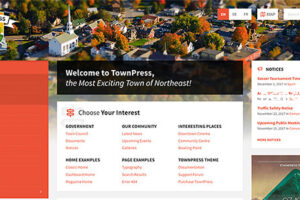 TownPress v3.8.10-市政WordPress主题