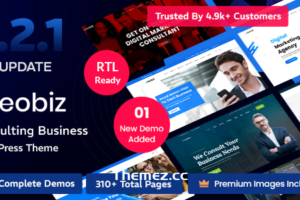 Reobiz v5.2.1-咨询商务WordPress主题