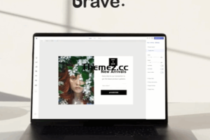 Brave v0.7.6-拖放WordPress弹出窗口、选择、潜在客户生成和调查构建