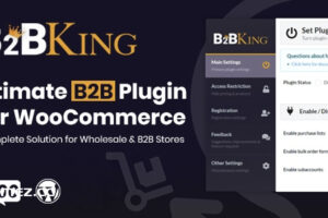 B2BKing v5.2.66-终极WooCommerce B2B和批发插件