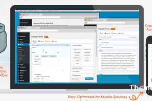 Gravity Forms v2.9.3