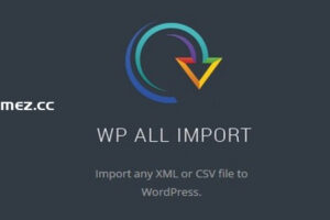 WP All Import Pro v4.9.9