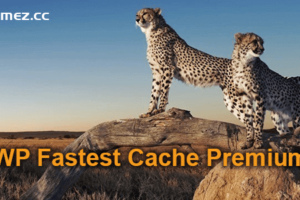 WP Fastest Cache Premium v1.7.2