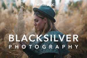 Blacksilver v9.6-WordPress的摄影主题