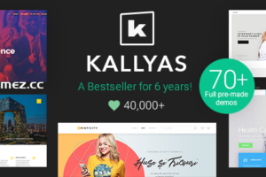 KALLYAS v4.21.0-响应式多用途主题