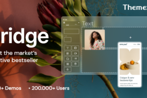 Bridge v30.8.7-创意多用途WordPress主题