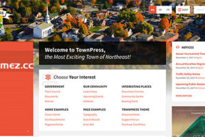 TownPress v3.8.11-市政WordPress主题