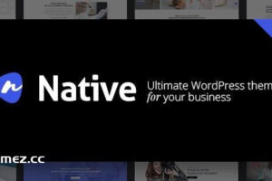 Native v1.6.9.9-时尚多用途创意WP主题