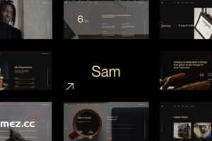Sam Bailey v1.1.0-个人简历WordPress主题