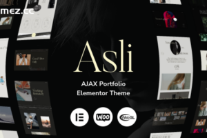 Asli v1.8.5–AJAX作品集元素或WordPress主题