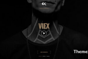 Viex-创意作品集模板