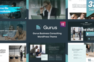 Gurus v1.0.6-商务咨询WordPress主题