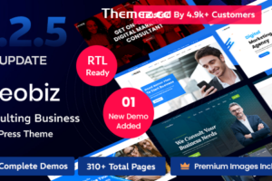 Reobiz v5.2.5-咨询商务WordPress主题