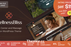 Wellness Bliss v1.0.1-按摩沙龙和水疗WordPress主题
