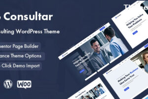 Consultar v1.0.7-商务咨询WordPress主题