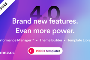 Brisk v6.1.3-多用途元素WordPress主题