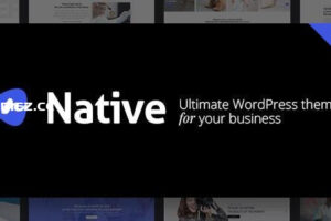Native v1.7.0 – 时尚多用途创意WordPress主题