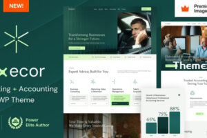 Execor v10-会计和管理咨询WordPress主题