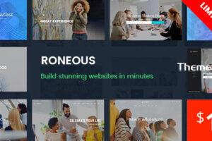 Roneous v2.1.4-创意多用途WordPress主题
